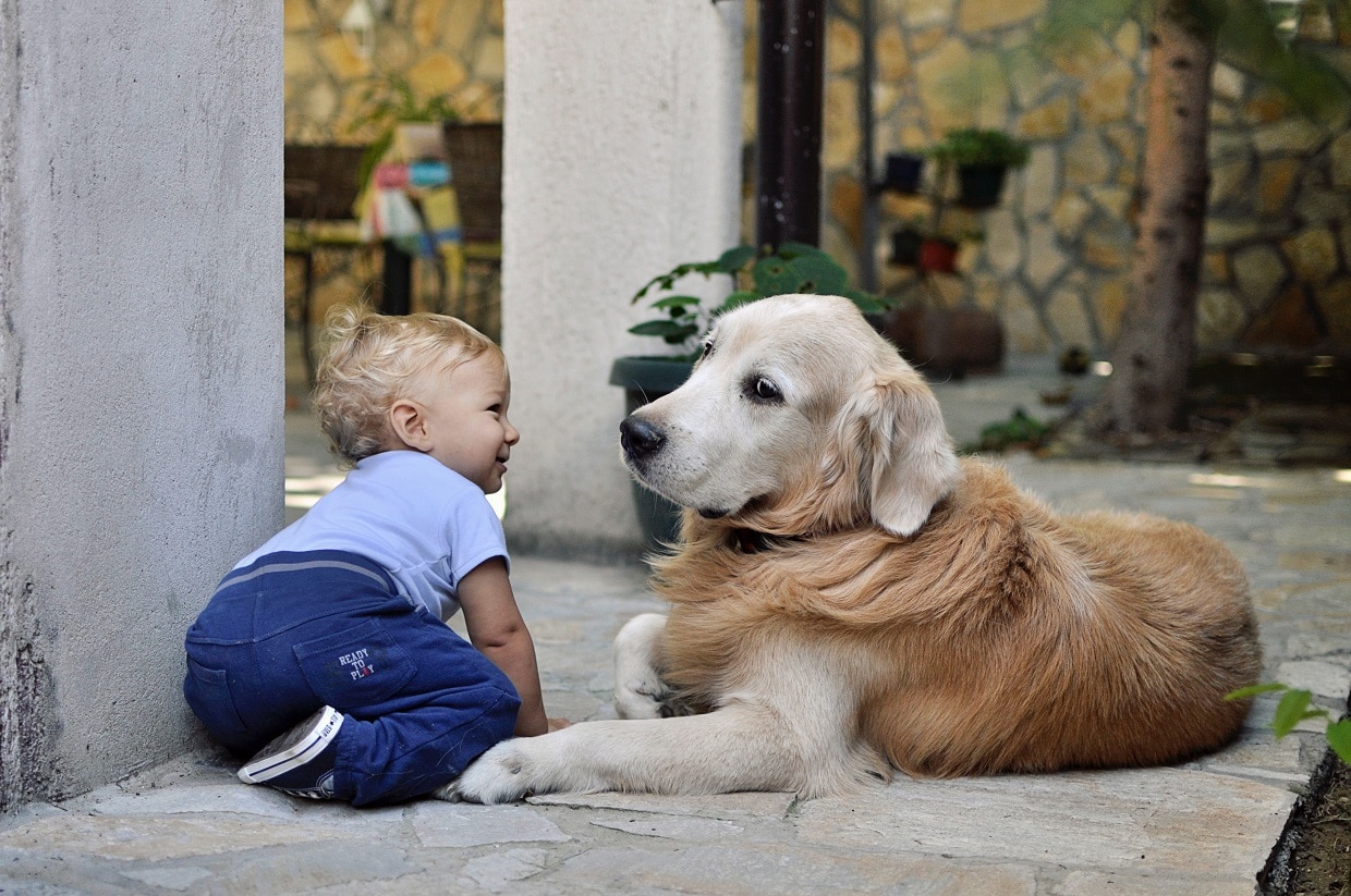 Jakie korzyści da dziecku wychowywanie się w towarzystwie psa?