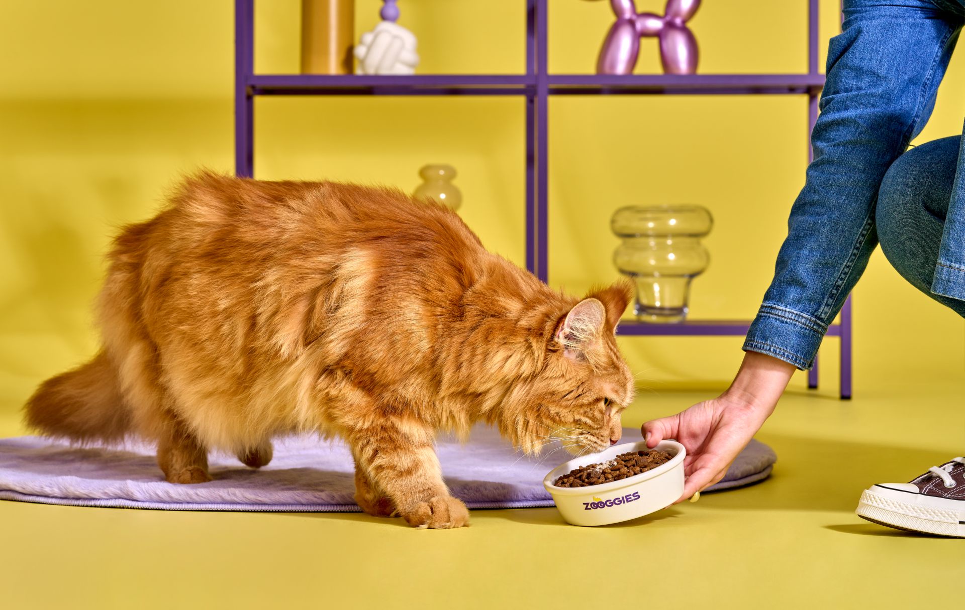 Jak Colostrum Wspiera Układ Odpornościowy Twojego Zwierzaka